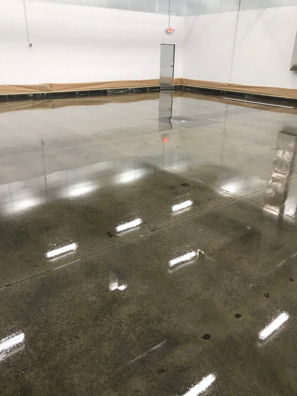 Shiny, freshly polished concrete floor in a spacious industrial setting with overhead lights.
