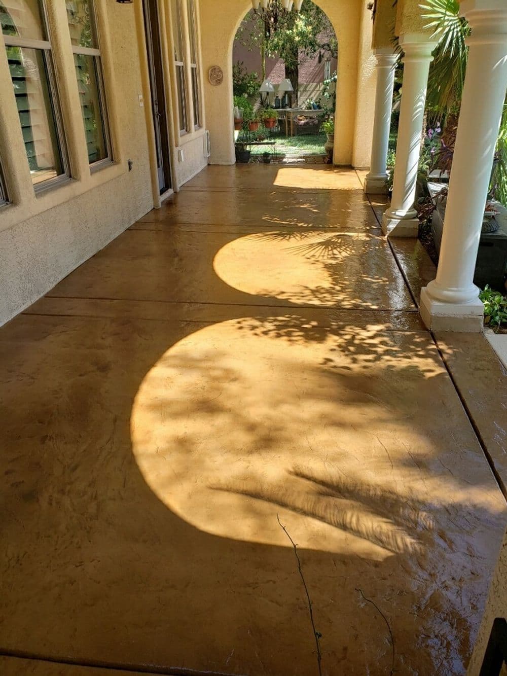 Sunlit decorative concrete walkway with shadows from nearby plants and palm trees.