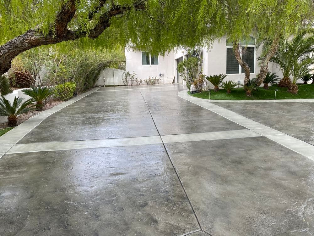 Modern concrete driveway with decorative palm trees and lush greenery in a residential area.